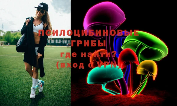 дурь Белокуриха