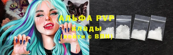прущие грибы Белоозёрский