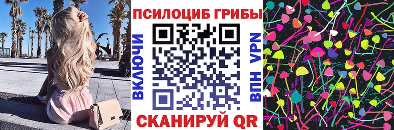 Купить закладки  Михайловка  Псилоцибиновые грибы MAGIC MUSHROOMS 